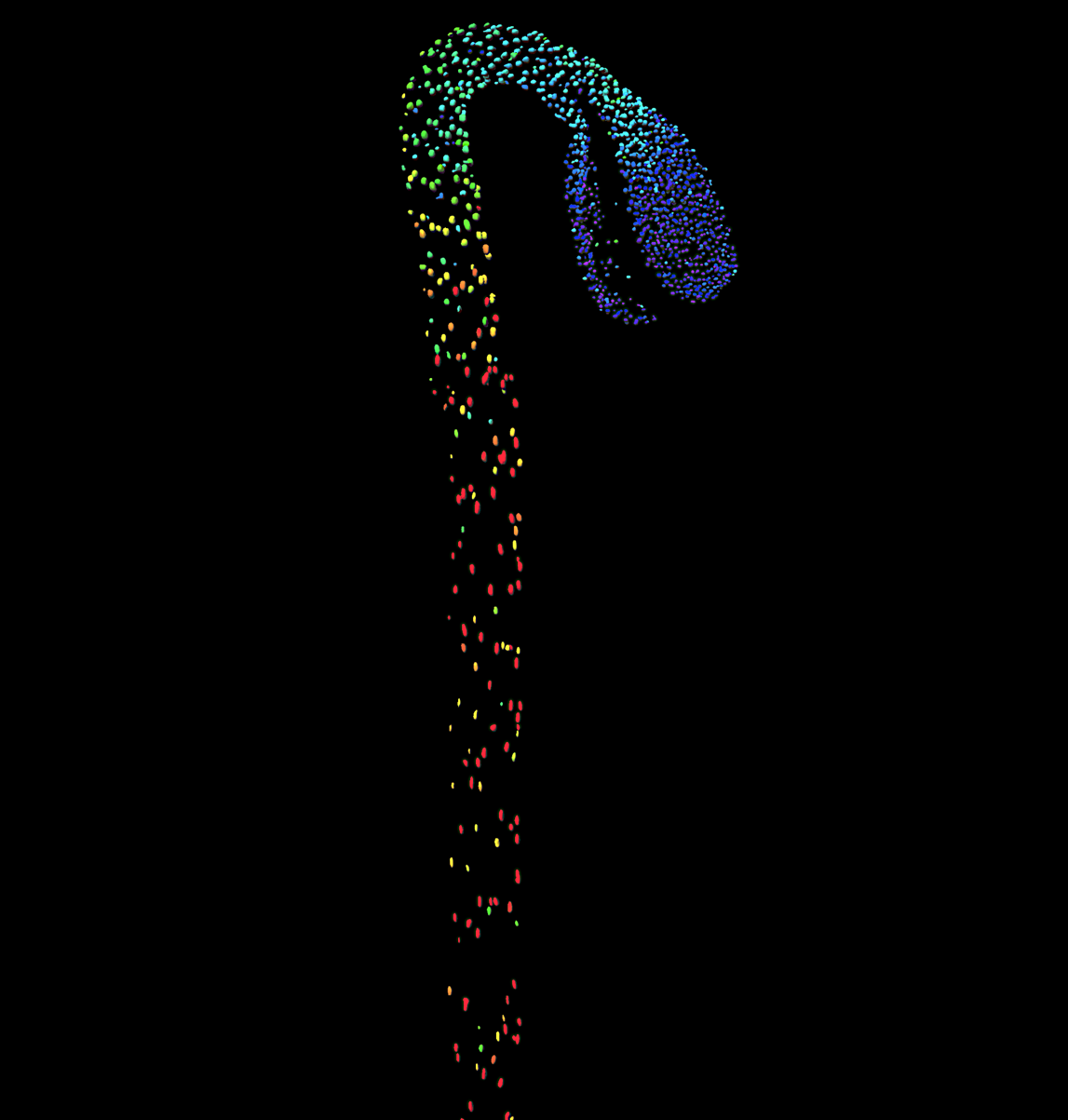 A fluorescent biosensor for GA hormone detected using a confocal microscope (from low - blue, to high - red)