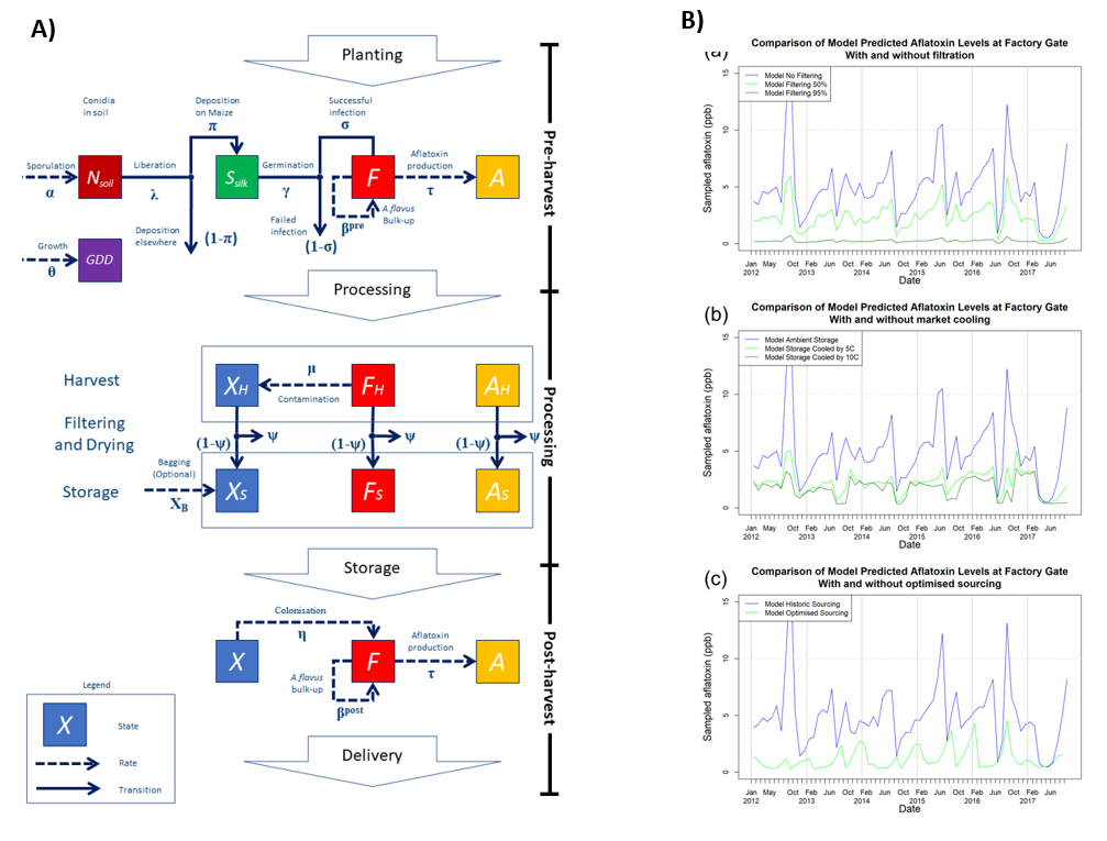 Scenario analysis - Using the model to predict the effectiveness of aflatoxin control interventions