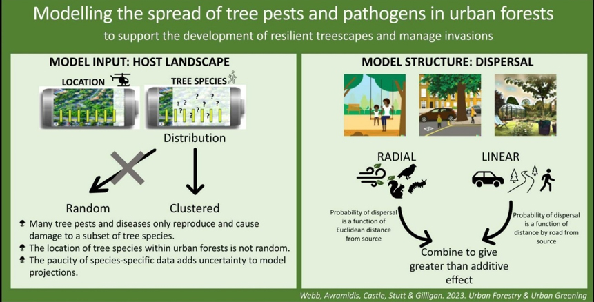 Modeling the spread of tree pests and pathogens in urban forests