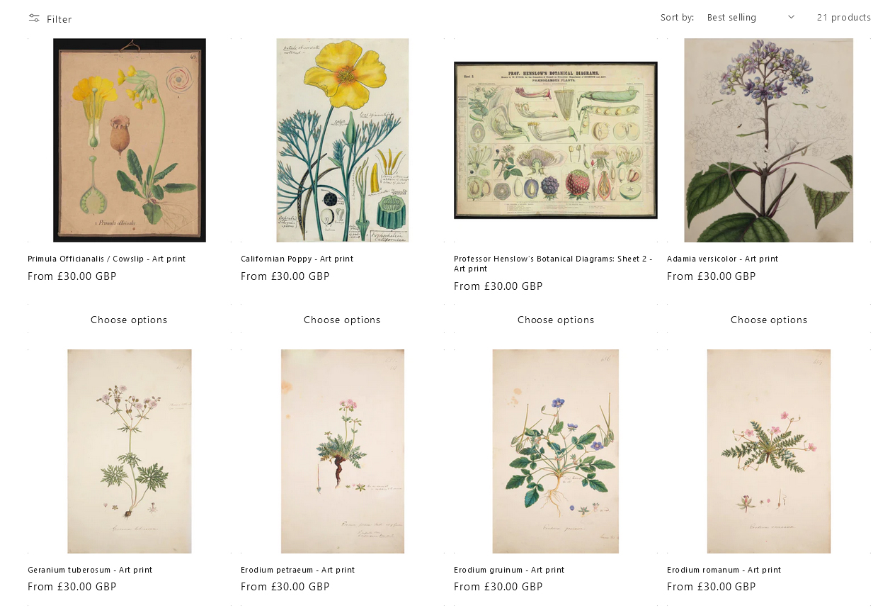 Curating Cambridge website herbarium page illustrations