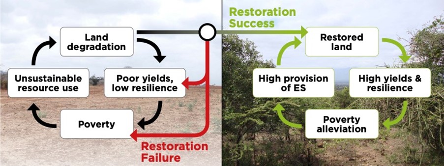 Diagram showing the difference between the cycle of land degradation and restored land