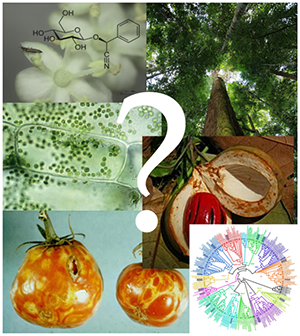 100 questions for plant sciences image collage