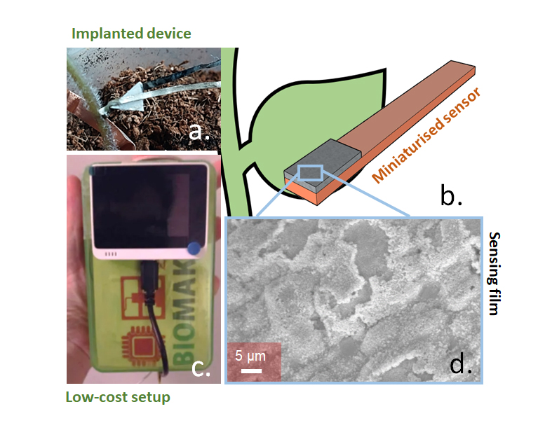 Detailed images of sensor placement