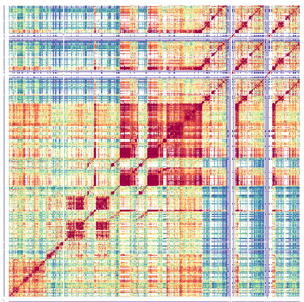 Patterns of sequence similarity within an Arabidopsis centromere. A heat map is shown where a single Arabidopsis centromere has been compared to itself. 