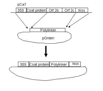 ptv00image1