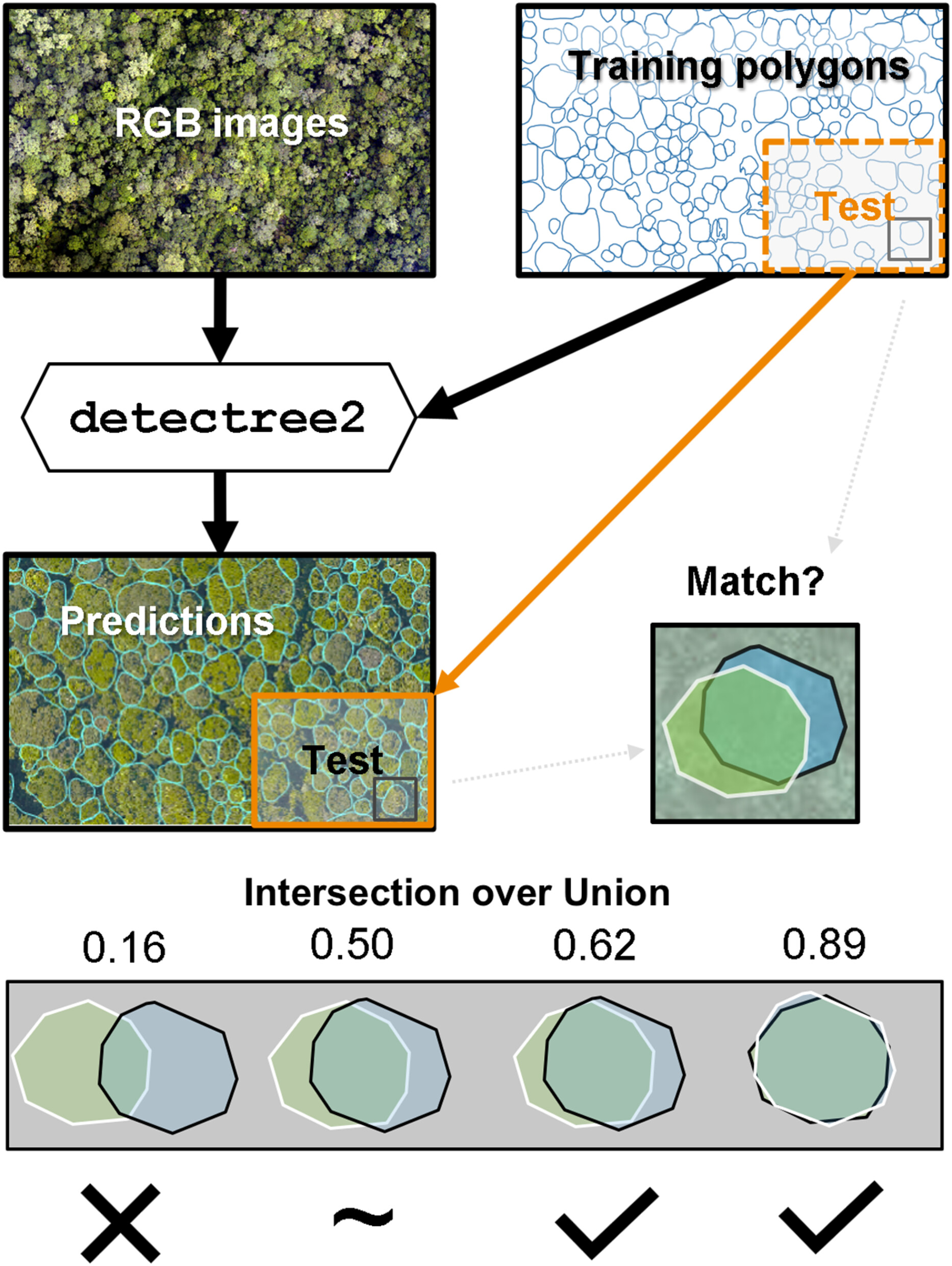 Graphic from the Detectree paper