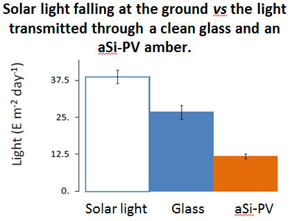 solar3