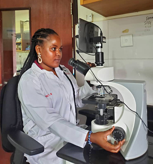 Ugandan researcher views nematode samples on the screen of a microscope 