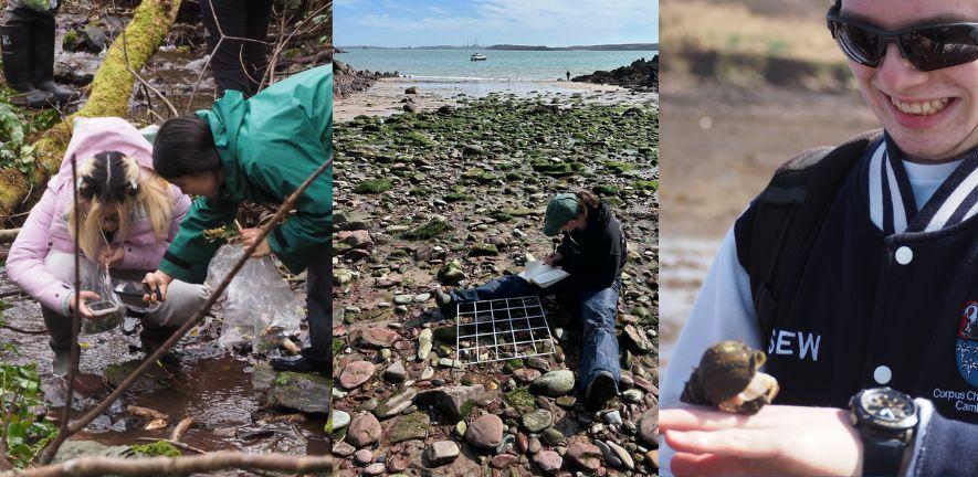 Three images of students on the Dale Fort field trip in woodland, on a beach and holding a whelk.