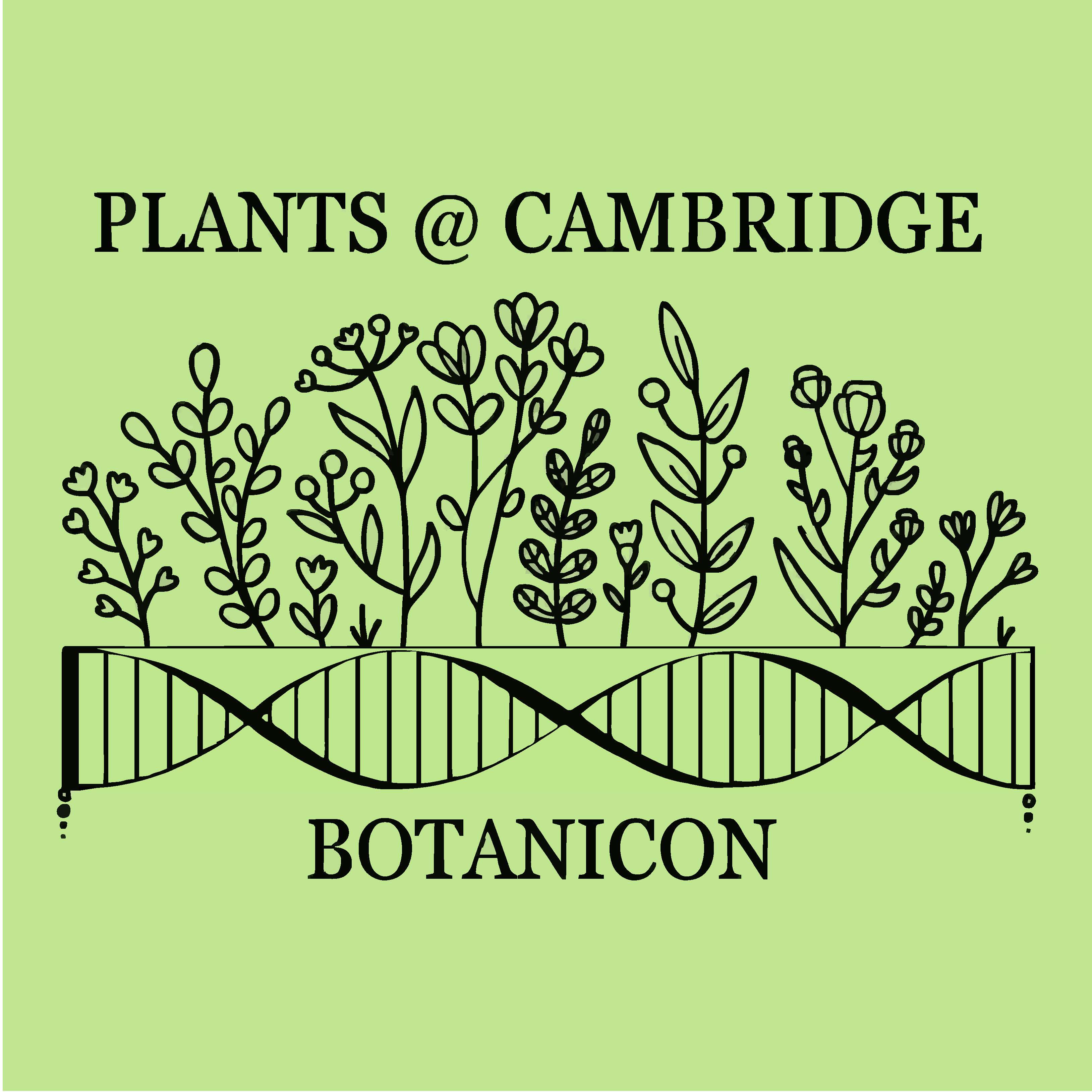 Plants @ Cambridge Botanicon, 4 July 2025