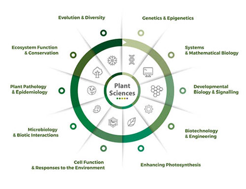 research themes