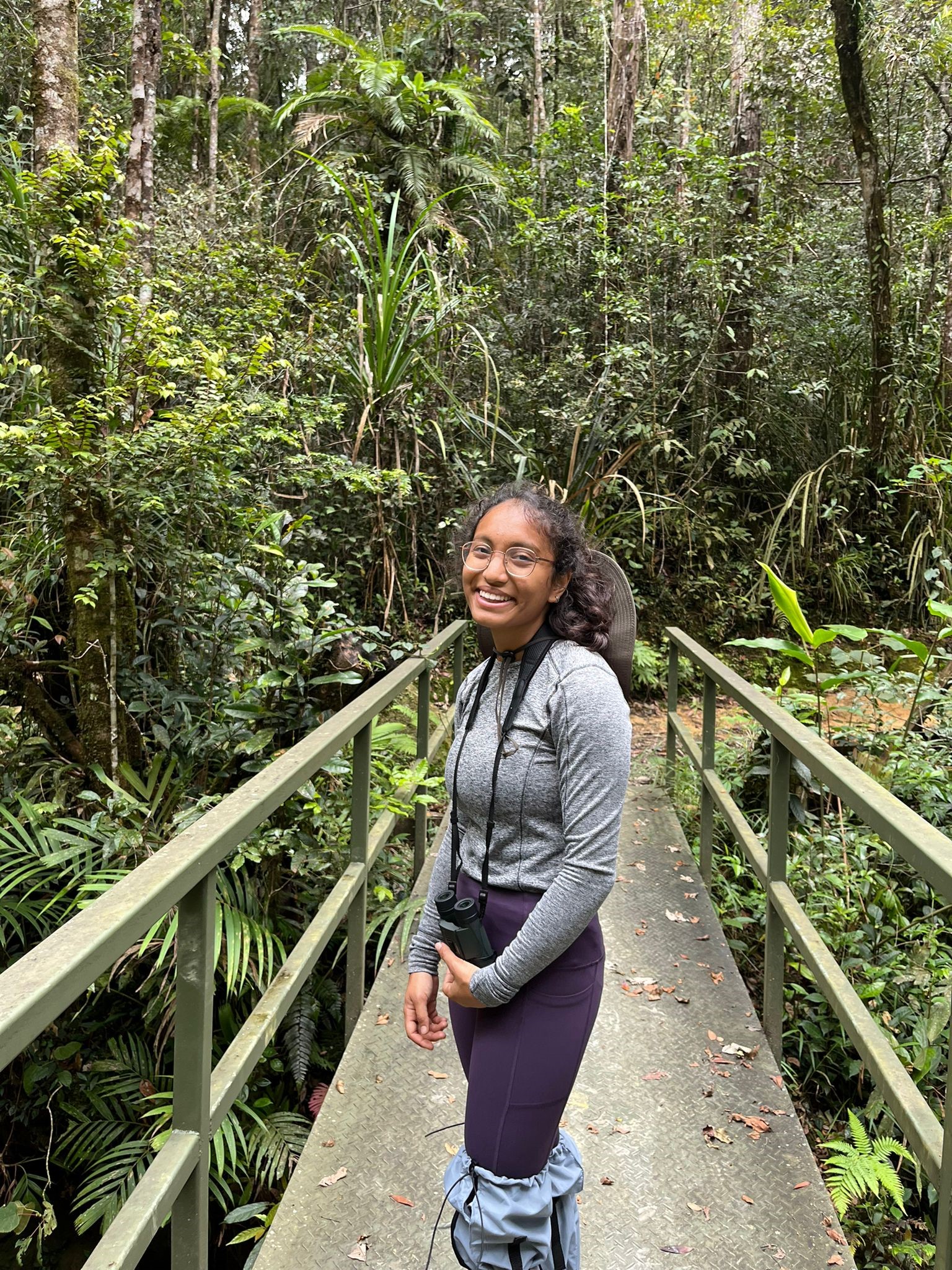 Personal expedition to Mount Kinabalu National Park after the course had finished. There were thankfully significantly fewer leeches than in Danum. Credit: William Knights. Personal expedition to Mount Kinabalu National Park after the course had finished. There were thankfully significantly fewer leeches than in Danum. Credit: William Knights.