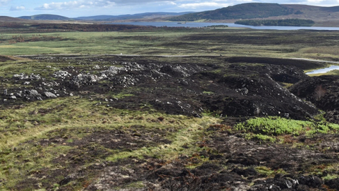 An upland landscape at Lochindorb shows varying stages of recovery months after the 2025 Dava Moor Fire. Scorched trees in the mid-ground mark areas of higher burn severity, while woodlands along the loch shore were spared from severe fire damage. Image credit: Johanna Schoenecker.