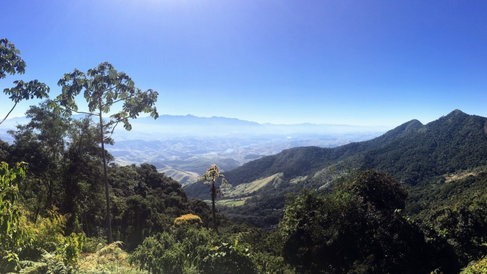 A view of the fragmented Atlantic Forest landscape, showing a mosaic of different land uses and forest patches at varying stages of succession. Credit: Felipe Begliomini.