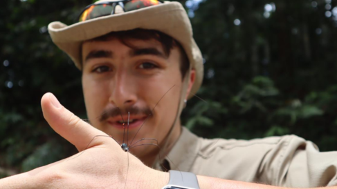 Dan Marquand holding a harvestman during a tour of a logged forest near Danum Valley. Harvestmen, though often mistaken for spiders, belong to the order Opiliones, a close relative of spiders in the order Araneae. Photo by Aulia Maulidya.