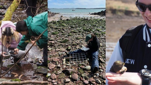 Three images of students on the Dale Fort field trip in woodland, on a beach and holding a whelk.