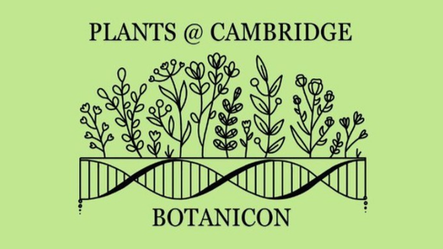 Plants at Cambridge Botanicon logo