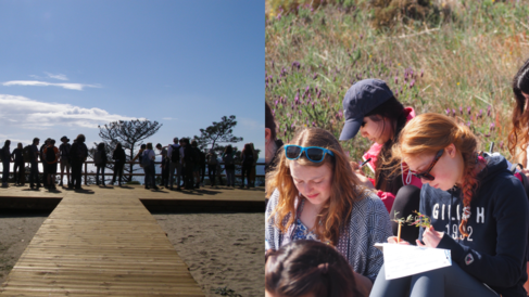 Students observing plants in the field on the Portugal Field Course.
