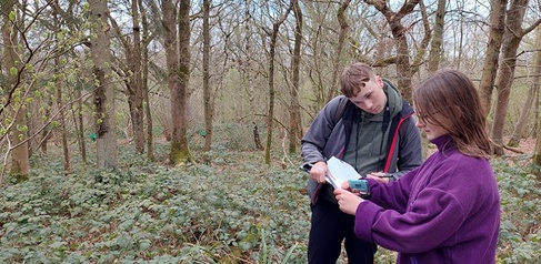 Researchers assess woodland condition at Alice Holt Forest