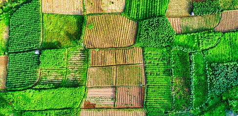 Aerial photography of farmland. Photo by Tom Fisk.