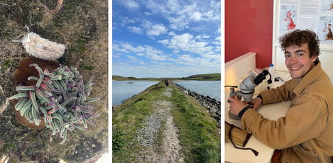 3 images left to right: A grey sea slug and a snakelocks anemone; Walking up to the Gann flats to count peacock worms on the project day; Callum Russell in the field centre.