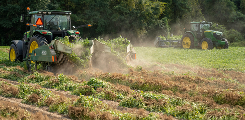 Potato farming by Mark Stebnicki on Pexels
