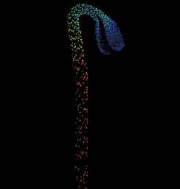 A fluorescent biosensor for GA hormone detected using a confocal microscope (from low - blue, to high - red)
