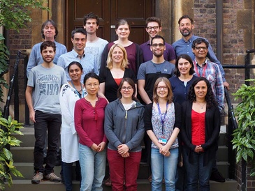 The Glover Group 2019