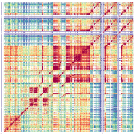 Patterns of sequence similarity within an Arabidopsis centromere. A heat map is shown where a single Arabidopsis centromere has been compared to itself. 