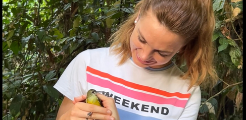 Plant Sciences student Angie Campbell mist netting and bird ringing in Danum. Tropical field course 2025.