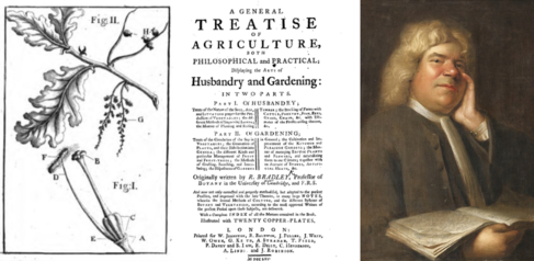 Three images: diagram of the sexual structure of plants from Richard Bradley’s New Improvements of  Planting and Gardening; a page from Richard Bradley's 'General Treatise of Agriculture; portrait of Thomas Fairchild
