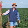  Plant Sciences PhD student, Lottie Apsey, setting up plots in a bean field as part of her field trials. 