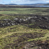 An upland landscape at Lochindorb shows varying stages of recovery months after the 2025 Dava Moor Fire. Scorched trees in the mid-ground mark areas of higher burn severity, while woodlands along the loch shore were spared from severe fire damage. Image credit: Johanna Schoenecker.