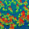 Regenerating Scots Pine in Cairngorms visualised from airborne LiDAR scan. Credit Aland Chan University of Cambridge.