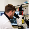 Dr Olaf Kranse at the Crop Science Centre, Cambridge. Credit: Graham CopeKoga.