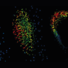 Next generation biosensor reveals gibberellin’s critical role in legume nitrogen-fixation 