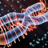 Conceptual 3D rendering of chromosome. Credit: Koto Feja (Getty Images).