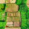 Aerial photography of farmland. Photo by Tom Fisk.