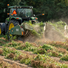 Potato farming by Mark Stebnicki on Pexels