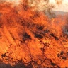 Fire on UK moorland