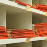 Type specimens in the University Herbarium