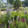 Cambridge University Botanic Garden  Credit: Howard Rice