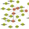 100 questions for plant sciences graphic representation of the issues covered