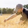 Scientist in wheat field