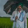 Ramphal. a rice farmer from Chamrori vilaage in India