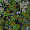 aerial visualisation of tree crown mapping