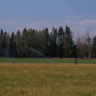 Timber/farming contrast in the USA
