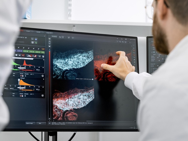 Researchers looking at microscopy images on a large screen