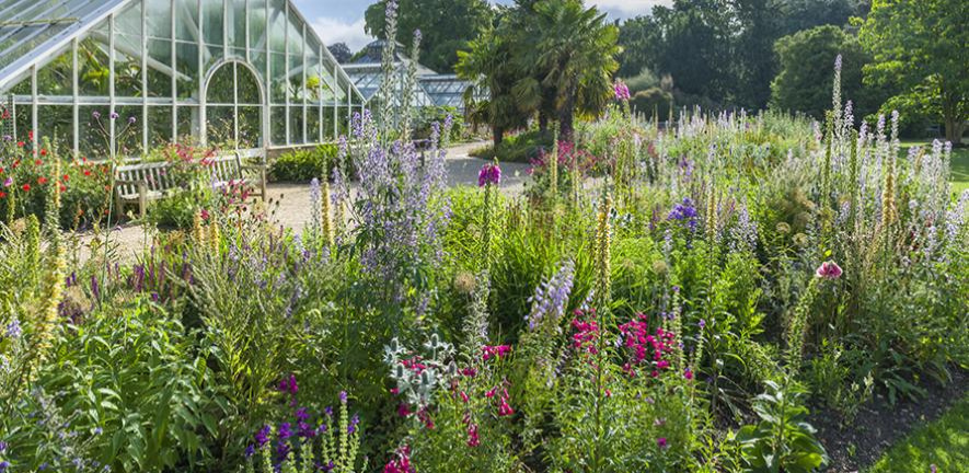 Cambridge University Botanic Garden  Credit: Howard Rice