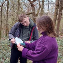 Researchers assess woodland condition at Alice Holt Forest